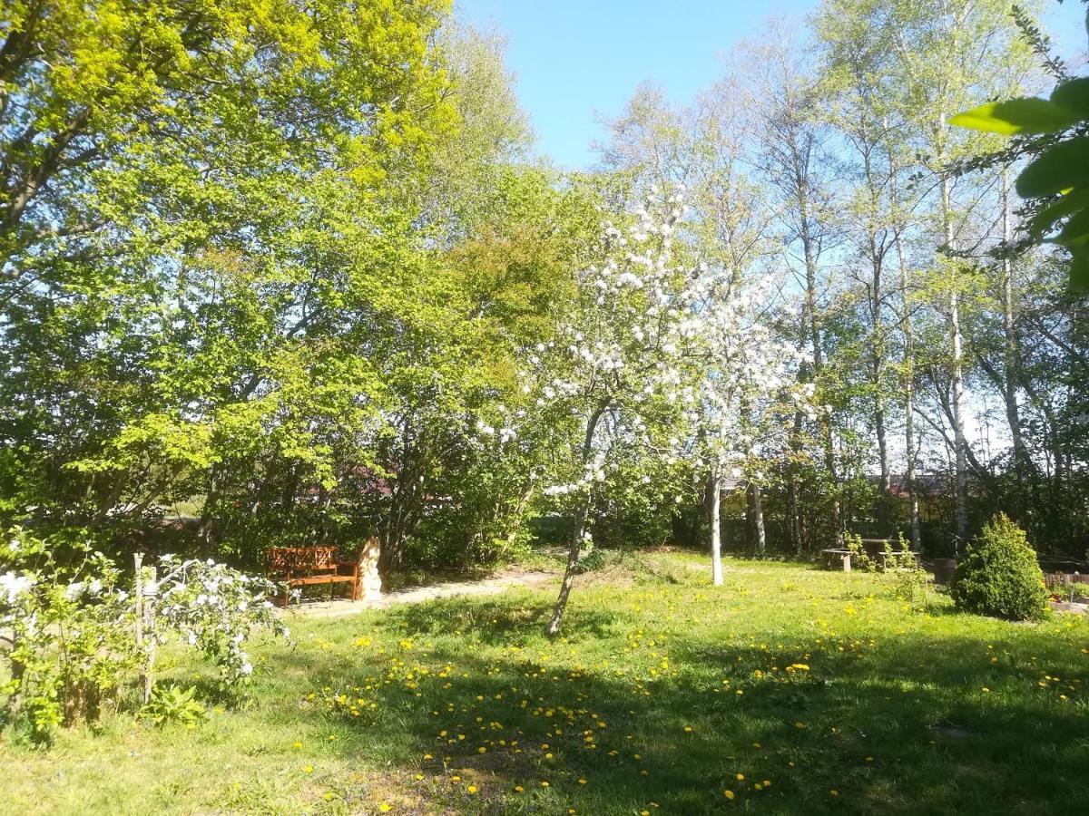 Vegawagen Psyche, Een Sprookje In Coevorden Dış mekan fotoğraf