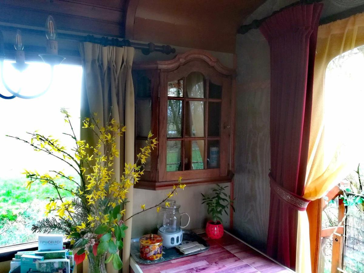 Vegawagen Psyche, Een Sprookje In Coevorden Dış mekan fotoğraf