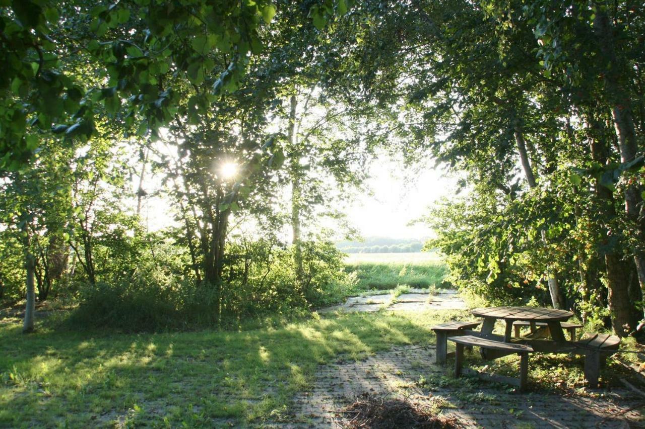 Vegawagen Psyche, Een Sprookje In Coevorden Dış mekan fotoğraf