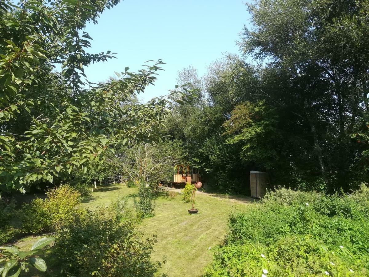 Vegawagen Psyche, Een Sprookje In Coevorden Dış mekan fotoğraf